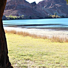 Mat Sandbur Lining Beach