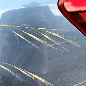 Lemmas with Their Long Awns