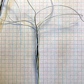 Tangled New Mexican Needlegrass