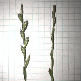 Front and Side Views