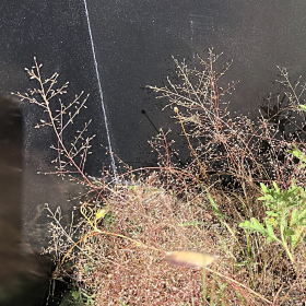 Closer View Shows Small Size